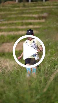 BIB:  <button type="button" onclick="openModal(26787386)" class="btn btn-primary btn-sm float-right" data-toggle="modal" data-target=".modal-high-quality">
                <i class="fa fa-download"></i> Download
                </button>